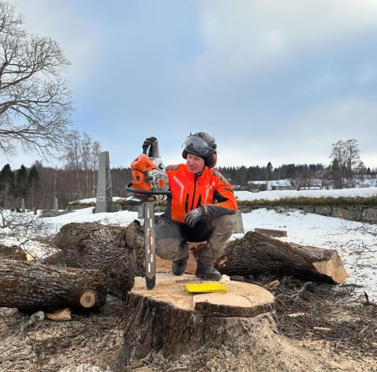 Stubbfräsning